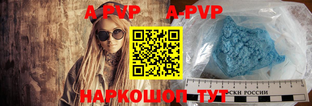 A PVP СК КРИС Нальчик