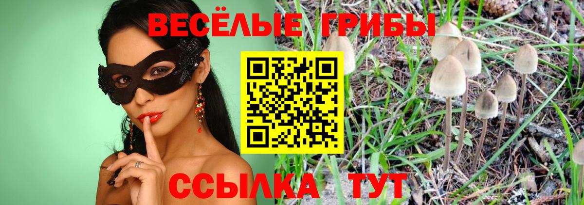 Псилоцибиновые грибы MAGIC MUSHROOMS Нальчик